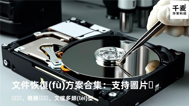 文件恢復(fù)方案合集：支持圖片、視頻、文檔多類(lèi)型 